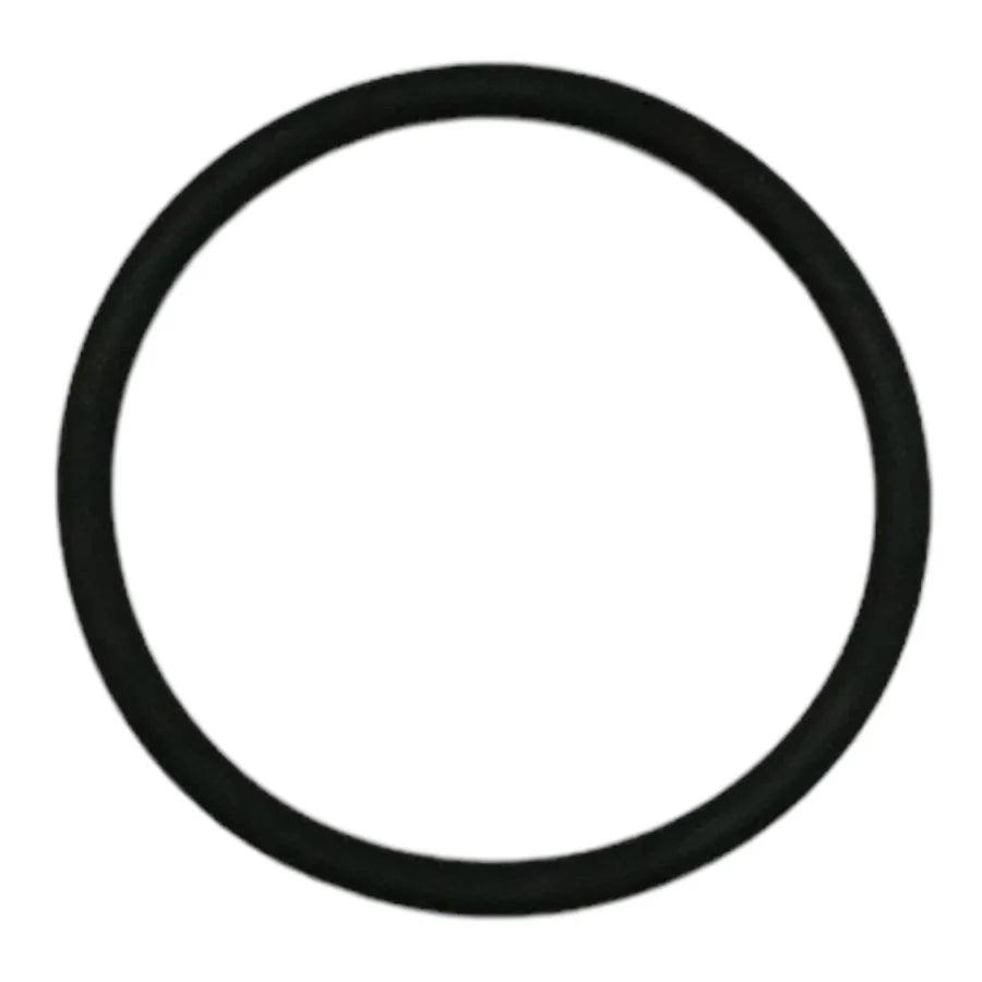 Viton Gasket GV110HP