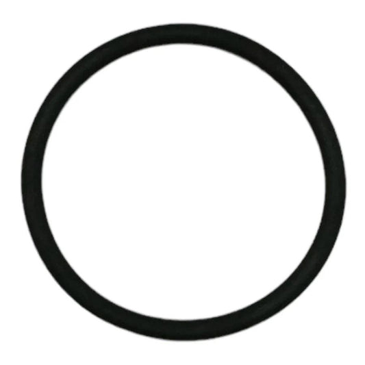 Viton Gasket GV110HP