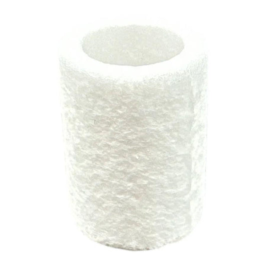 12-25-70CS Filter Element (Box of 10)